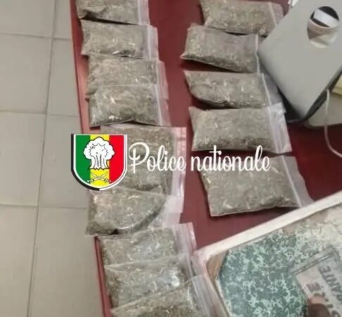 Trafic de drogue à Hanne Maristes : Un individu interpellé par la Sûreté urbaine de Dakar