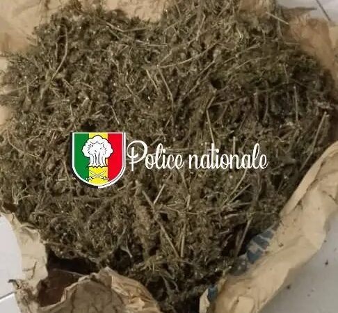 Trafic de drogue à Colobane : Un individu interpellé avec 2,5 kg de chanvre indien...
