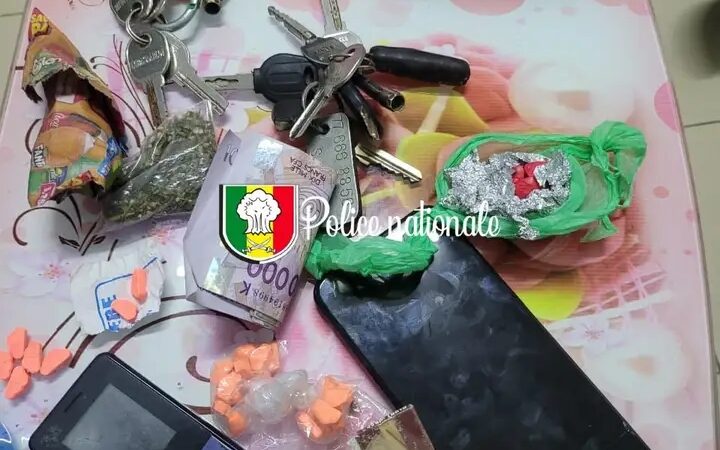 Trafic de drogue : Trois individus interpellés par la Brigade des Stupéfiants de l’OCRTIS