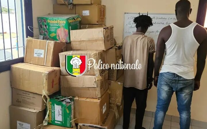 Trafic de faux médicaments : une saisie record opérée à Saly par la police (Photos)