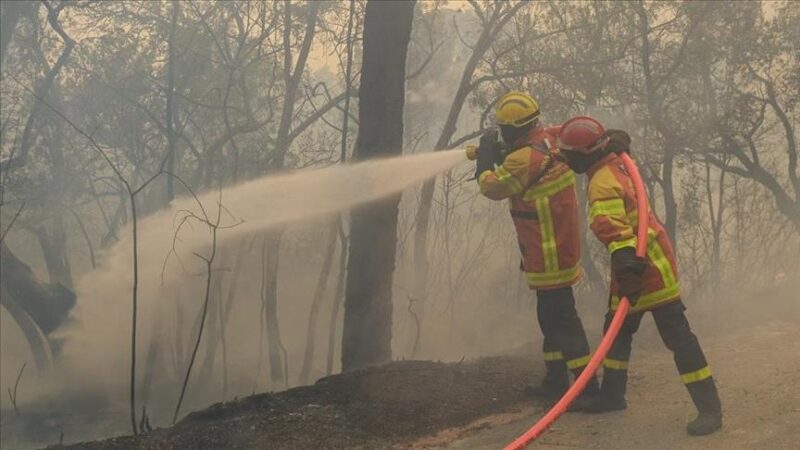 Incendie dans l'Aude (France) : 430 pompiers mobilisés face à un feu « très rapide »