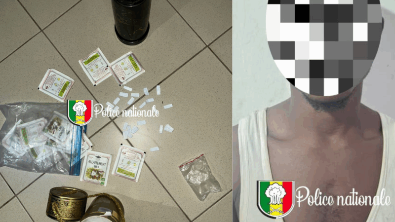 Saisie de drogue aux Almadies : Un dealer étranger arrêté avec 26 képas de Kush