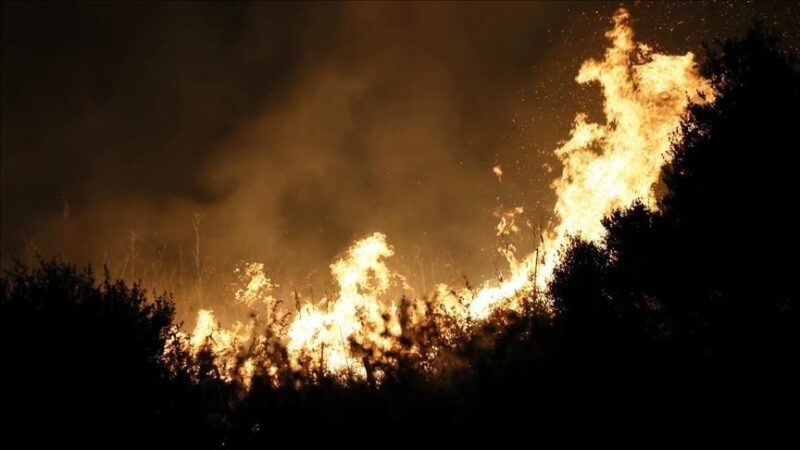 Incendie dans l'Aude (France) : 13 000 hectares ravagés, un mort et des enquêtes ouvertes