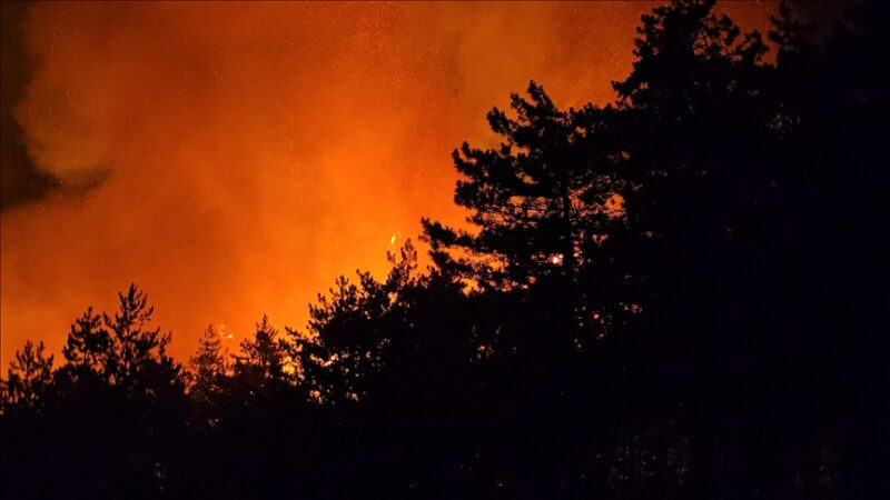 Incendie dans l'Aude (France) : 16 000 hectares ravagés, un mort et d'importants moyens de secours déployés