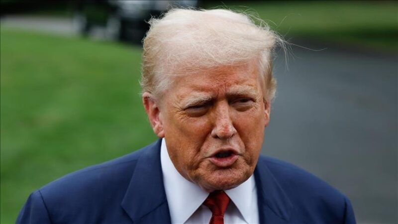 Donald Trump ouvert à des discussions avec Poutine et Zelensky : Une rencontre tripartite envisagée