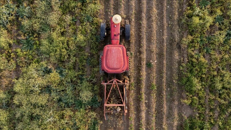 France : Le Conseil constitutionnel censure partiellement la loi Duplomb sur les pesticides