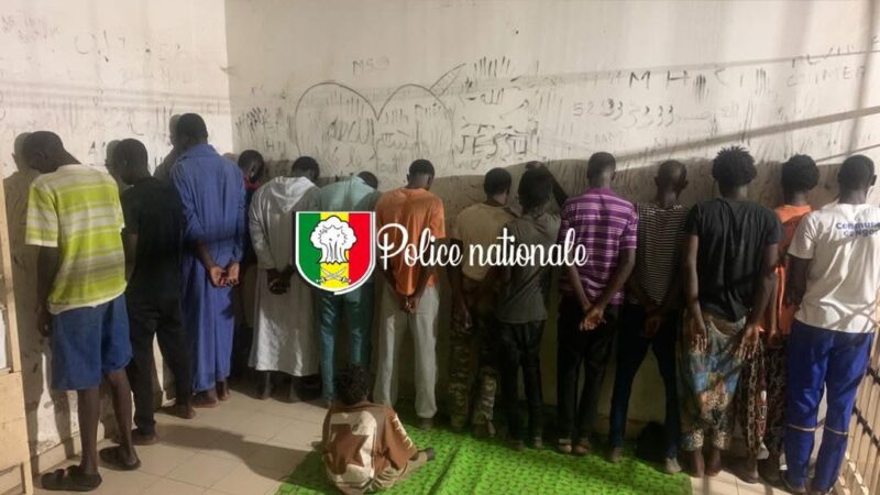 Ngor (Sénégal) : Démantèlement d'un réseau de trafic de drogue, 17 interpellations et d'importantes saisies