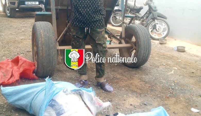 Diamaguène : Un boucher interpellé avec deux chèvres mortes destinées à la vente