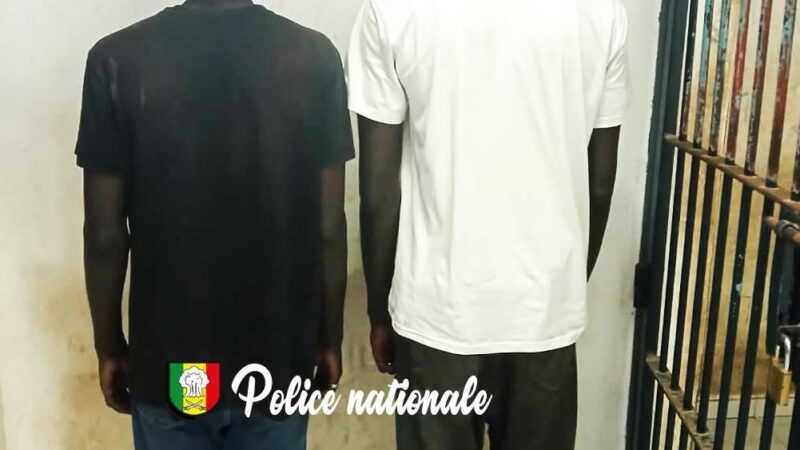Agression d'un chauffeur Yango : deux suspects arrêtés aux Parcelles Assainies