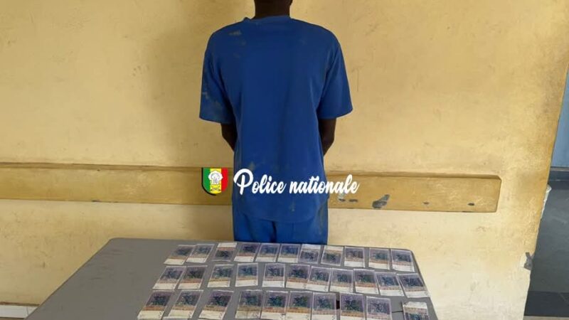 Saint-Louis : Un homme interpellé avec 420 000 FCFA en faux billets