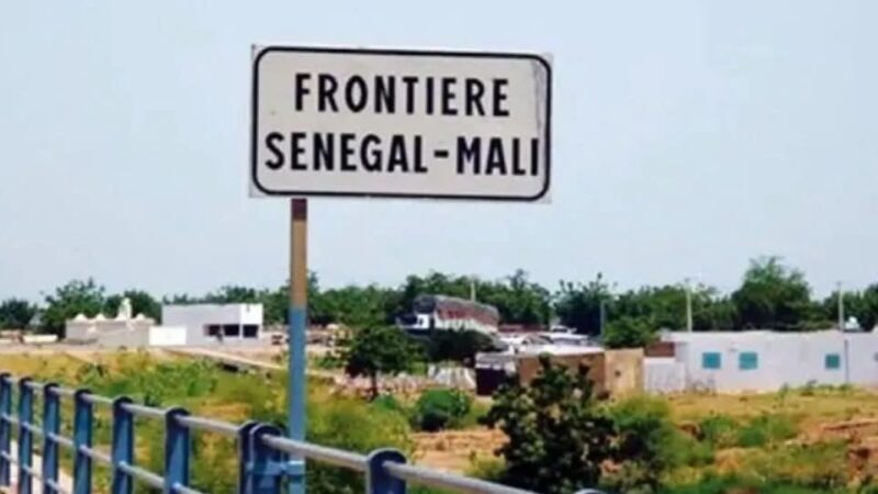 Sept Maliens interpellés à Tambacounda : Leur procès s'est tenu ce jeudi