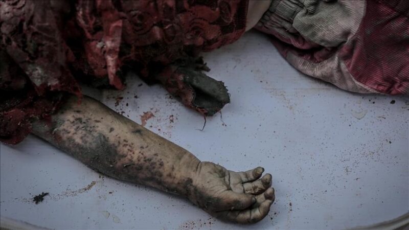 Gaza : Le bilan s'alourdit à plus de 61 700 morts, la famine aggrave la crise
