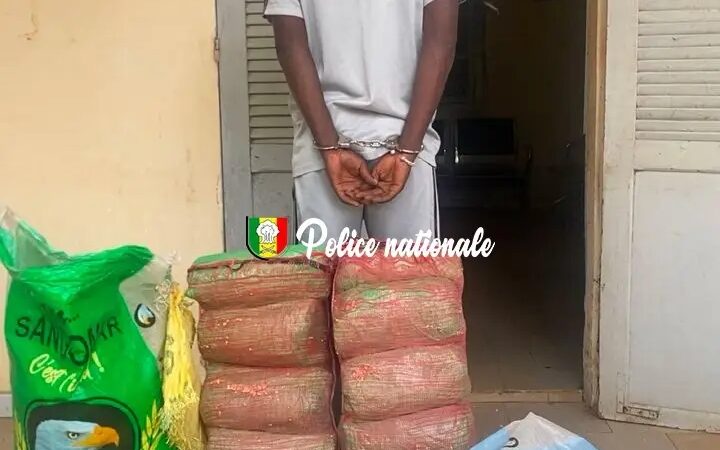 Fatick : Arrestation d’un homme avec 18 kg de chanvre indien soigneusement camouflés (Photos)