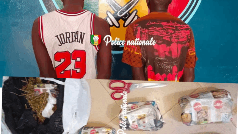 Ndamatou : Six arrestations pour trafic de drogue, d&rsquo;importantes quantités de chanvre indien saisies