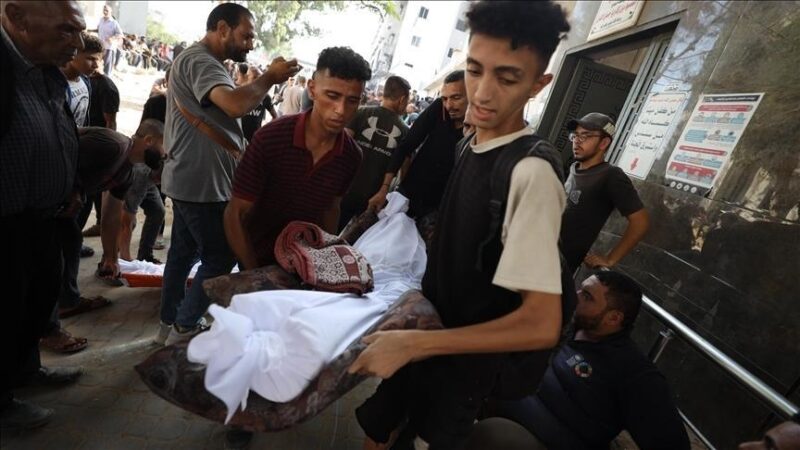 Gaza : Deux nouveaux décès dus à la famine, 271 victimes depuis octobre 2023