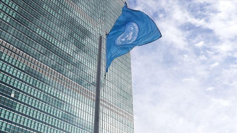 Nations Unies : Le Zambien Chaloka Beyani nommé conseiller spécial pour la prévention du génocide