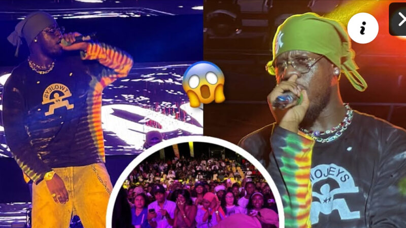 Franglish enflamme le Grand Théâtre de Dakar : Un concert explosif