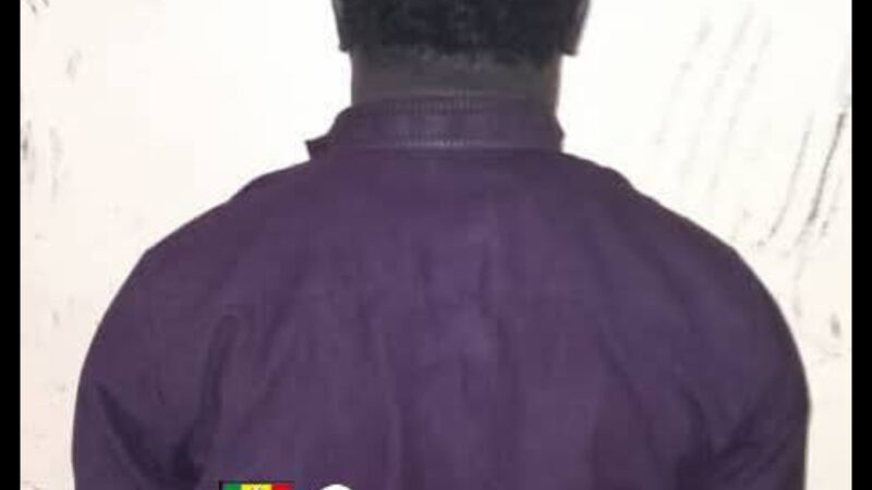 Escroquerie au Visa à Dakar : Un homme arrêté, 950 000 FCFA de préjudice
