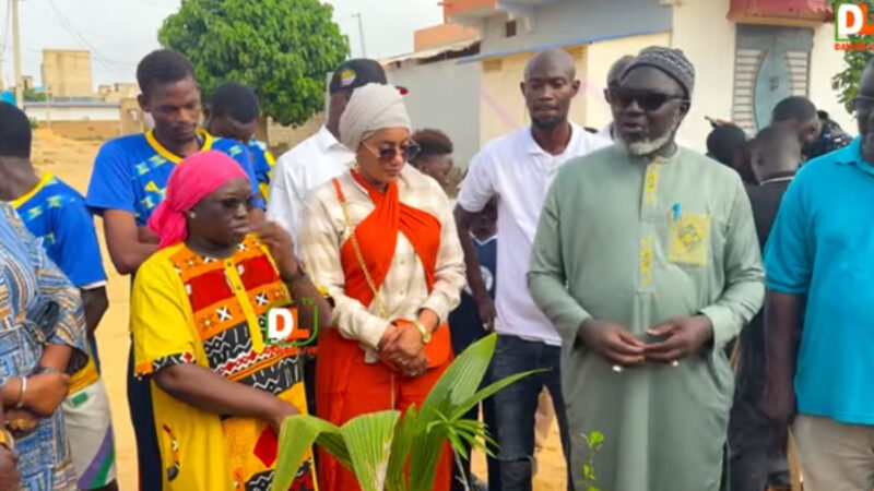 Bébé Bass visite le chantier de l'école 21 du Plan Jaxaay et participe à une opération de reboisement