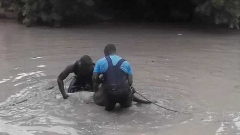 Ziguinchor : Un enfant de 8 ans se noie dans une mare à Émanpore