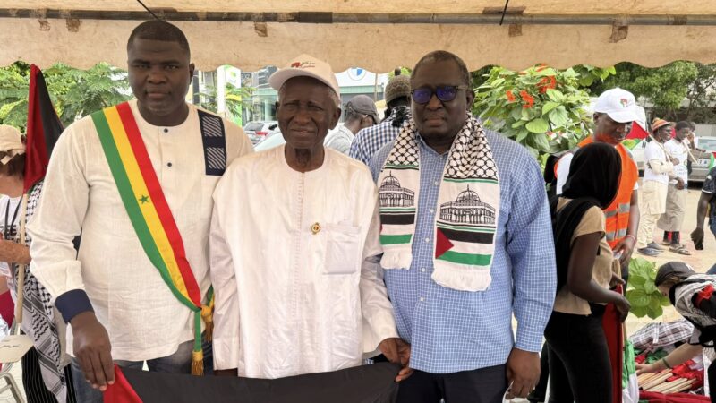 Marche pacifique : Guy Marius Sagna, Amadou Ba, Ayib Daffé... dénoncent le génocide de Gaza