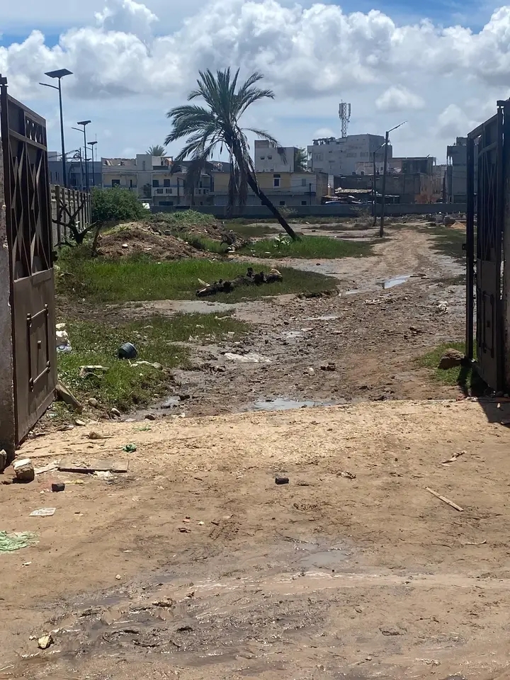 La Matinale Senego : Diomaye, TAS et Tournée de Diomaye Faye en Sine-Saloum