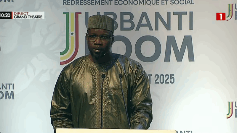 Plan de redressement : "une déformation professionnelle mal orientée met l’économie en danger", (Thierno Bocoum)