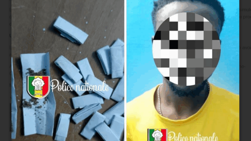 Diamaguène-Sicap Mbao : arrestation d’un Sierra-Léonais avec 44 pièces de Kush