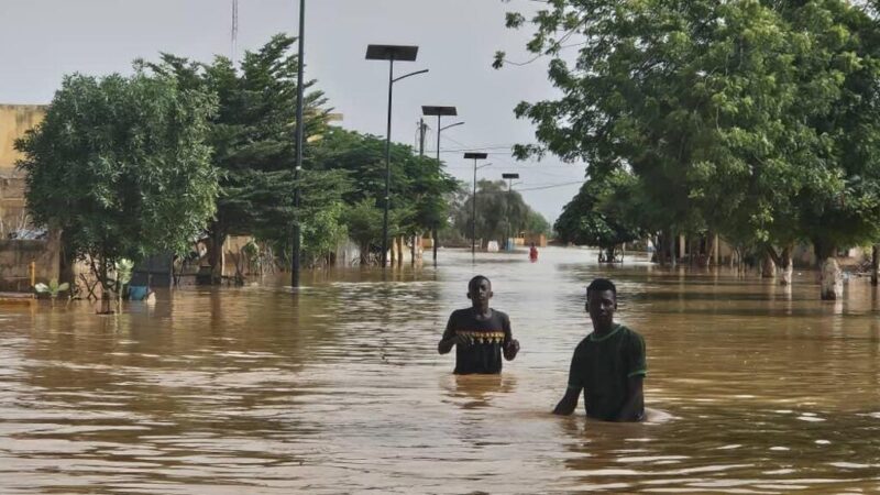 Les villes face aux catastrophes climatiques : diagnostic des outils de prévention et de gestion des inondations...