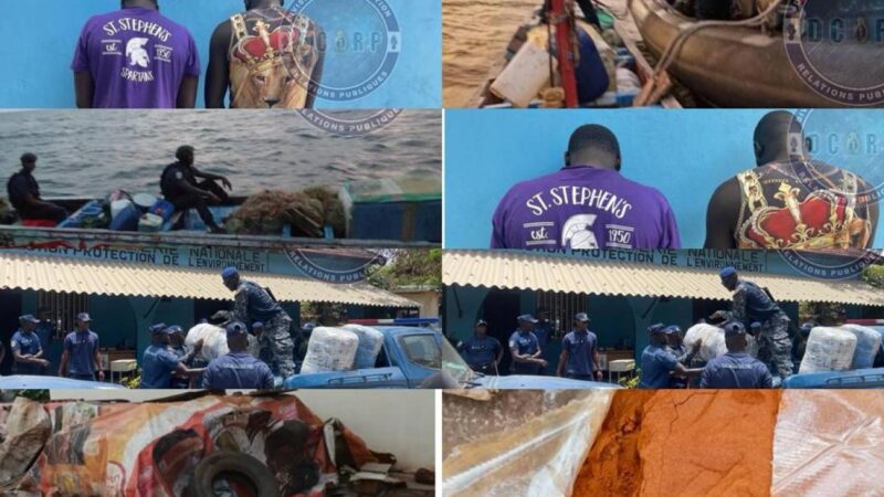 Keur Massar – Mbour : 8 tonnes de denrées périmées et 500 kg de chanvre saisis en 48h