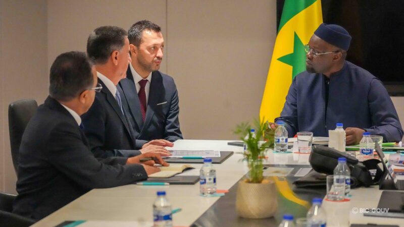 Dakar-Ankara : des investisseurs turcs prêts à injecter 5 000 milliards FCFA dans l’énergie