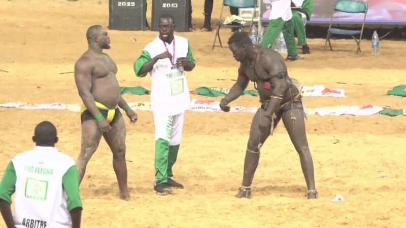 Lutte : Modou Lô pose ses conditions pour une revanche contre Siteu