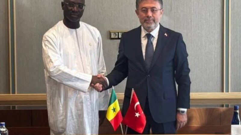 Ferme aménagée : la Turquie et le Sénégal lancent un projet pilote agricole de 500 hectares
