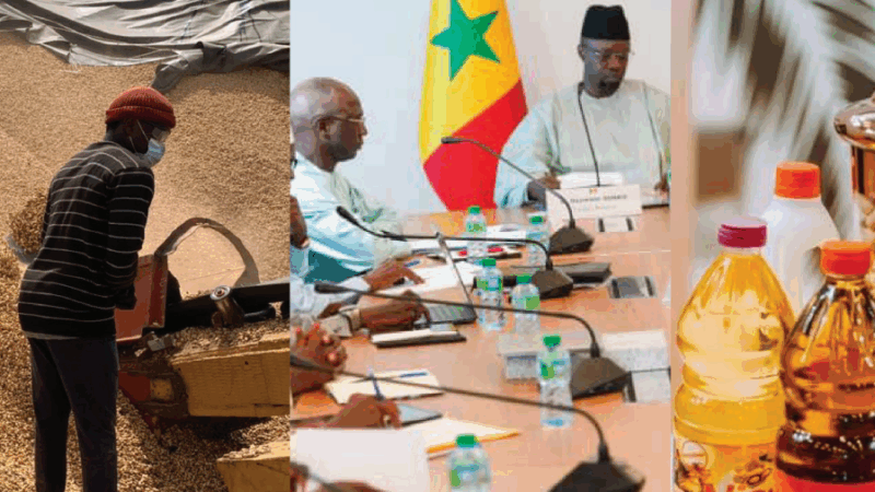 Situation de la commercialisation de la  Sonacos: le gouvernement prend 14 mesures