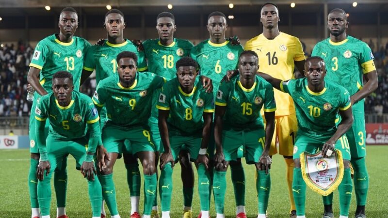 Mondial 2026 - Série d’invincibilité : Les Lions face au Soudan et la RDC, calendrier fixé