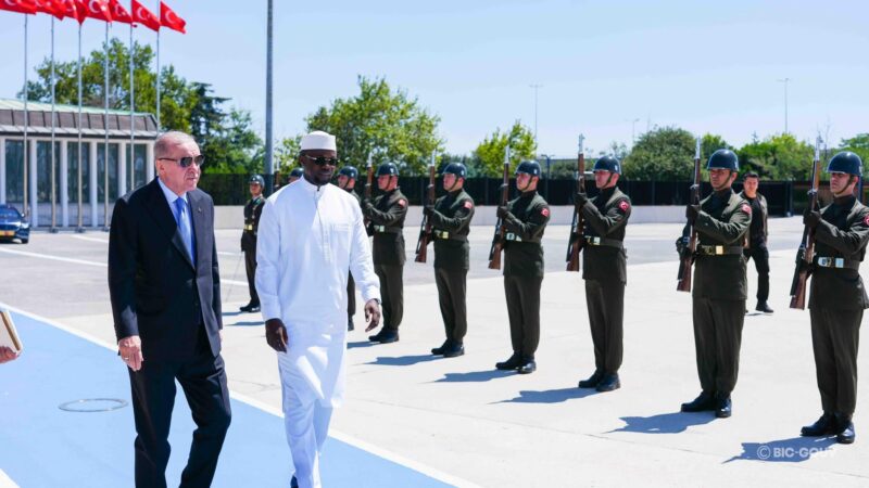 Birame Souleye Diop : « Erdogan a personnellement raccompagné Sonko, ce n’est pas de l’intelligence artificielle »