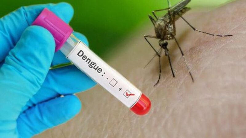 Deux cas de Dengue détectés à Kaolack