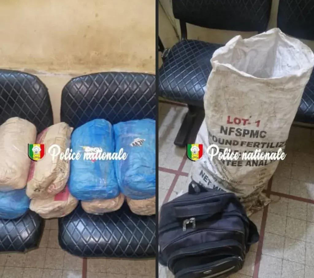 Kaolack : Saisie de 8 kg de chanvre indien, le suspect en fuite