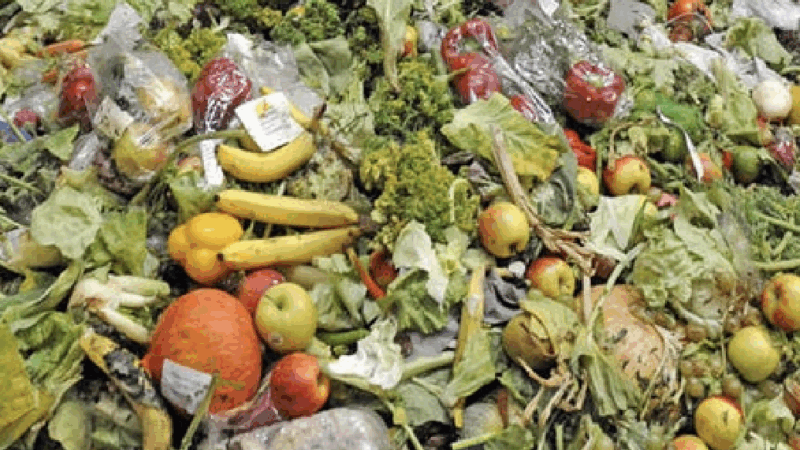 Kenya : 578 millions de dollars de nourriture perdus chaque année