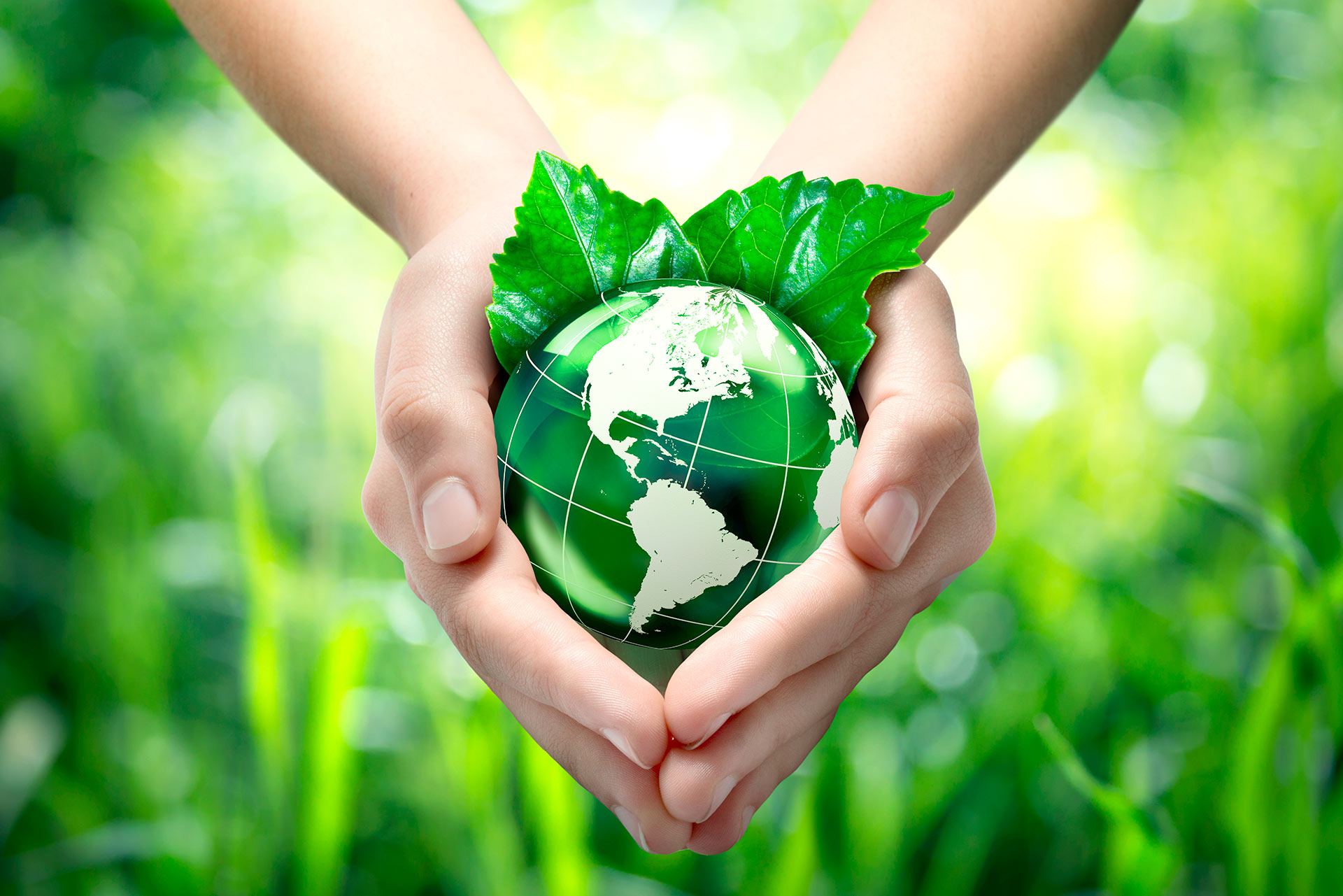 Dégradation des sols, pollution et stress hydrique : 90% de la population mondiale concernée selon la Banque mondiale
