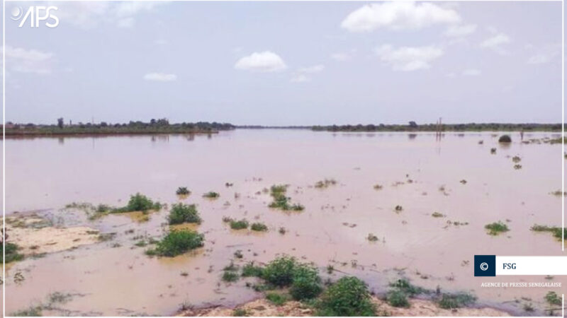 Montée des eaux du fleuve Sénégal : Vigilance orange maintenue à Matam et Podor