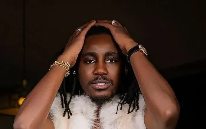 Wally Seck suspend sa carrière : « Trop d’acharnement, je n’en peux plus »