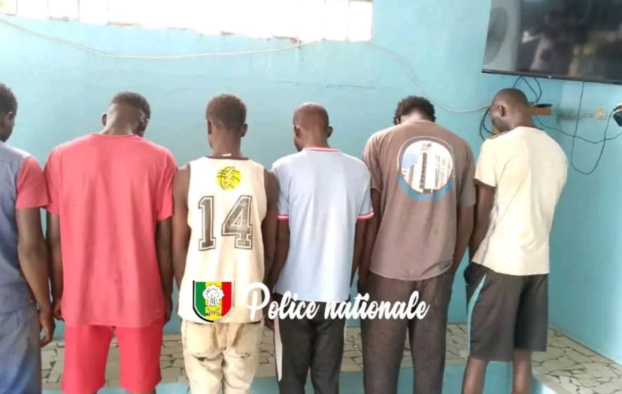 Kolda : Démantèlement d&rsquo;un réseau de voleurs de bétail, six arrestations suite à un renseignement anonyme