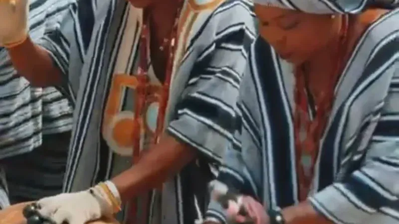 Sénégal – Festival Bantufari : Le Sine-Saloum a vibré au rythme de la culture et de l’engagement environnemental