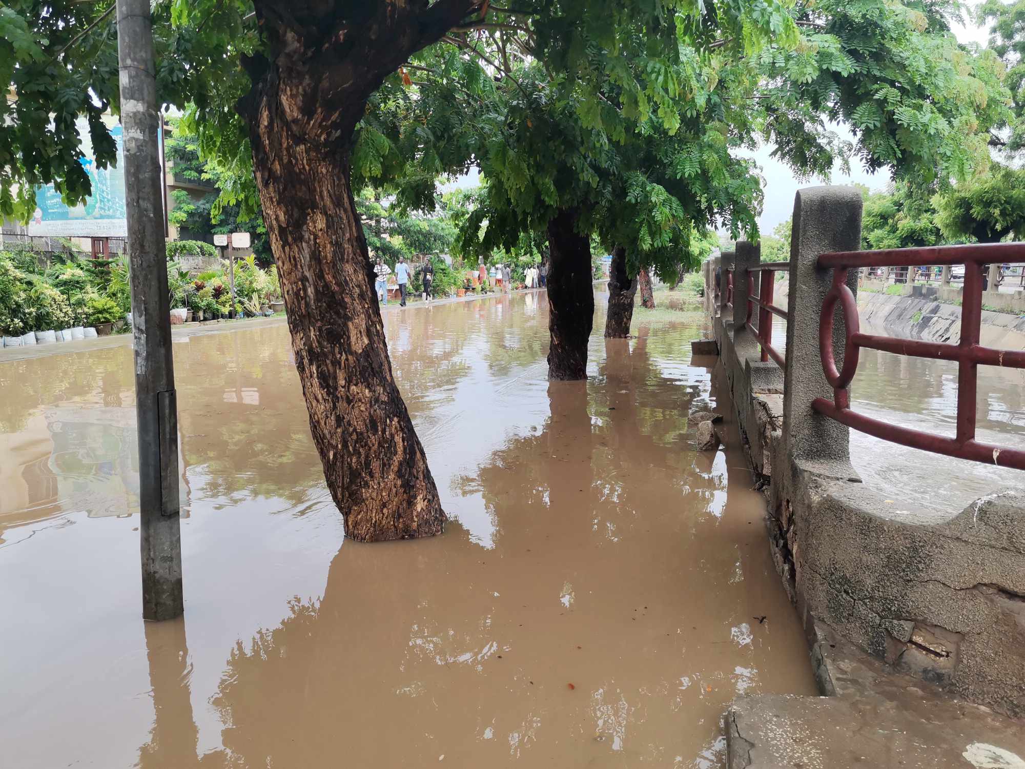 La météo annonce des orages en Casamance et un pic de chaleur à 41°C dans le Nord-Est