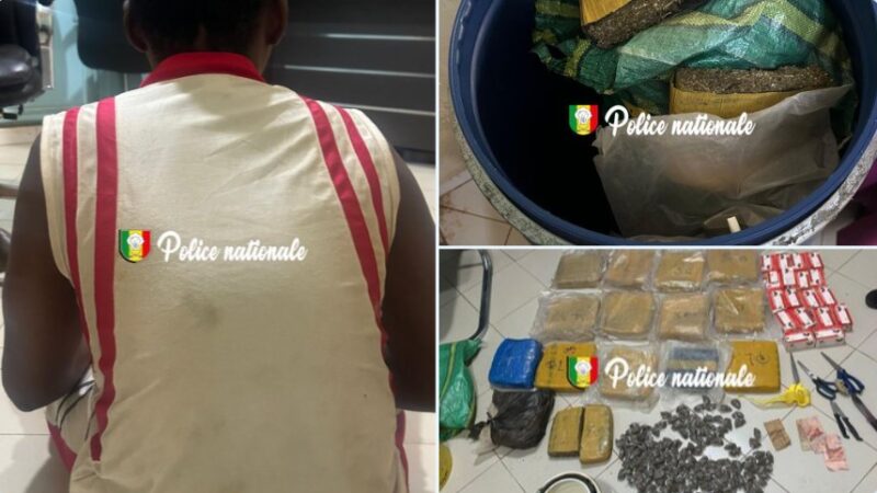 Kédougou : La police saisit 15 kg de chanvre et 1 800 comprimés de tramado
