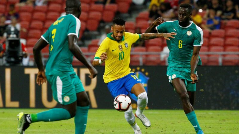 Les Lions préparent un choc face au Brésil : le stade qui pourra abriter la rencontre…