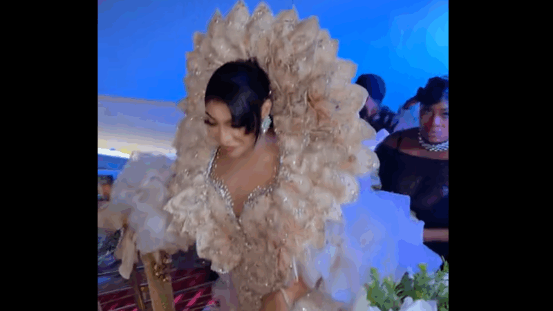 Une entrée spectaculaire : Viviane fête son anniversaire en beauté (vidéo)