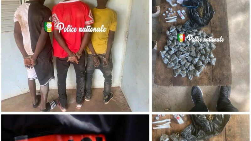 Kédougou: 3 Guinéens arrêtés  pour trafic de drogue