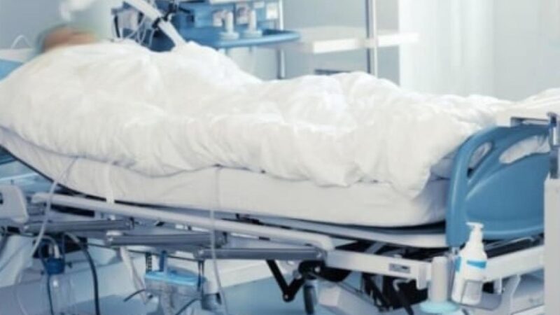 Apparition de la fièvre de la vallée du rift à Saint-Louis , 10 cas et 4 décès